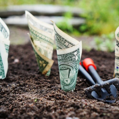 money, grow, interest